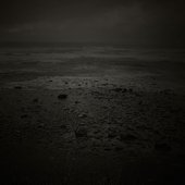 White Noise