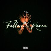 Fallen Raven
