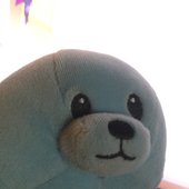 bluesealbig.jpeg