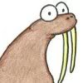 Walrus_94 的头像