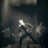 Gentle Tick 2017.jpg