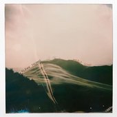 Whale Song - Single