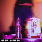Brother Sun - Single