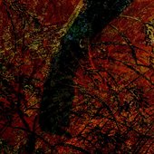 Ghost / Embers