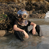 Enter Sceptre Spotify photo