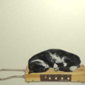 cat-theremin