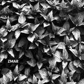 demo_cover.png