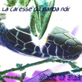 La caresse du mamba noir