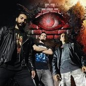 decimation system.jpg