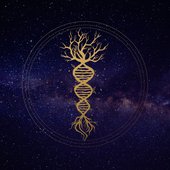 Sapien Medicine