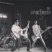 The Spikeweed