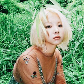 zuny.png