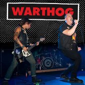 WARTHOG