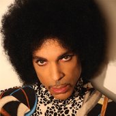 Prince-HITNRUN.jpg