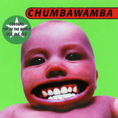 Chumbawamba - Tubthumper.png