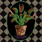 Vicious Delicious [Explicit]