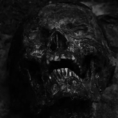 Album cover.png