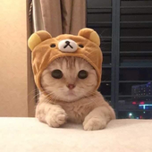 sub2bhopee 的头像