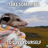 slawesomepossum 的头像