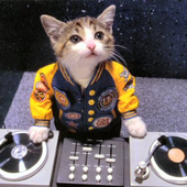 Avatar de elgatodj