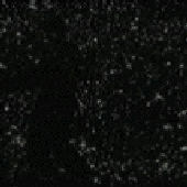 Avatar für AnotherPath