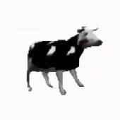 Avatar for Illusivoid