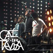 Café Tacvba - SINO