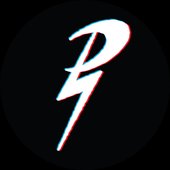 Paladin Shield