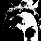 Avatar for jaodosmato