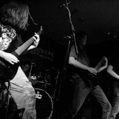 Languished 