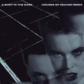 A Shot in the Dark - Houses of Heaven Remix