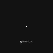 Spirit in the Dark