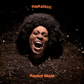 Funkadelic - Maggot Brain