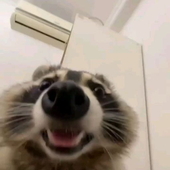 mastervule 的头像