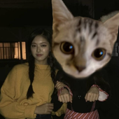 mfrcowgirl 的头像