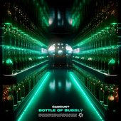 Bottle of Bubbly