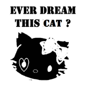 kitty