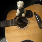 teddy bear band
