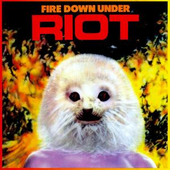 riot049 的头像