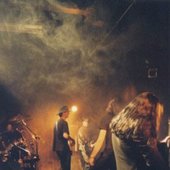Daeonia-stage-2001 © Wim de Nooyer