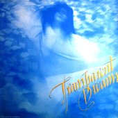 Transparent Dreams