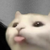 Moopflop 的头像