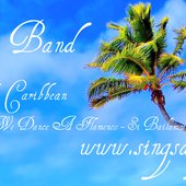 Hot Summer In The Caribbean SingSangSong Band ( Album 04.2012 ) Wow