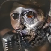 Eikonos Soundcloud profile picture