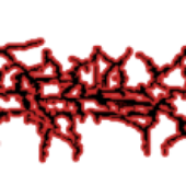 Goreobscenity Logo (old)