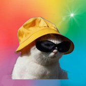 mschnoor için avatar