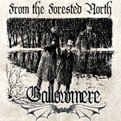 From The Forested North