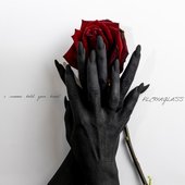 i wanna hold your hand