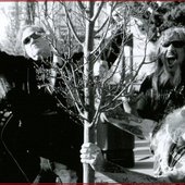 Morbidity Triumphant