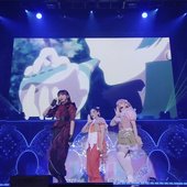 yohane live